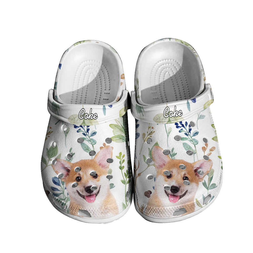 Clogs