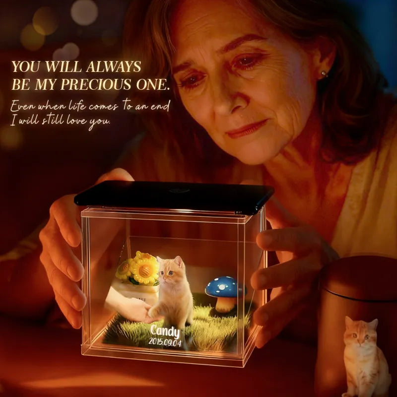 Custom Pet Name & Memorial Date Holographic Digital House